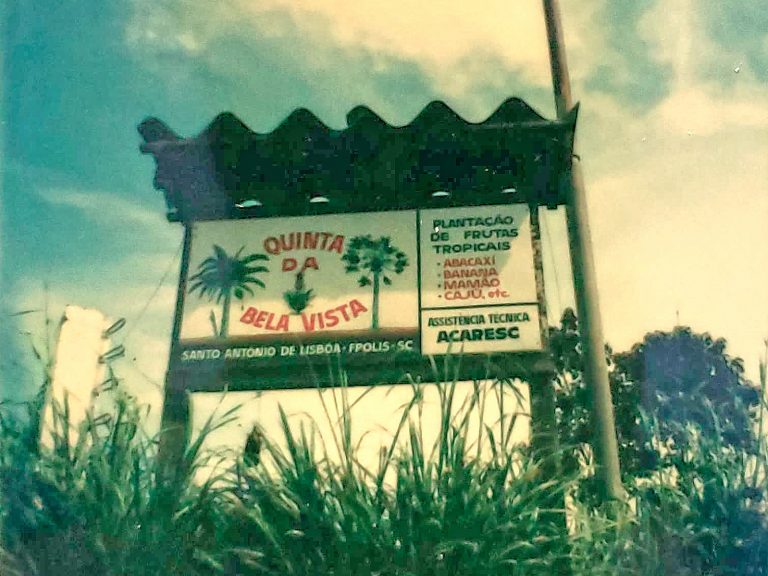 Antiga placa da plantação de frutas tropicais Quinta da Bela Vista